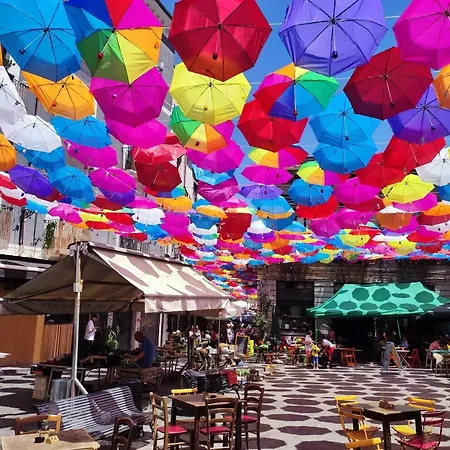 Liodoro Oda ve Kahvaltı